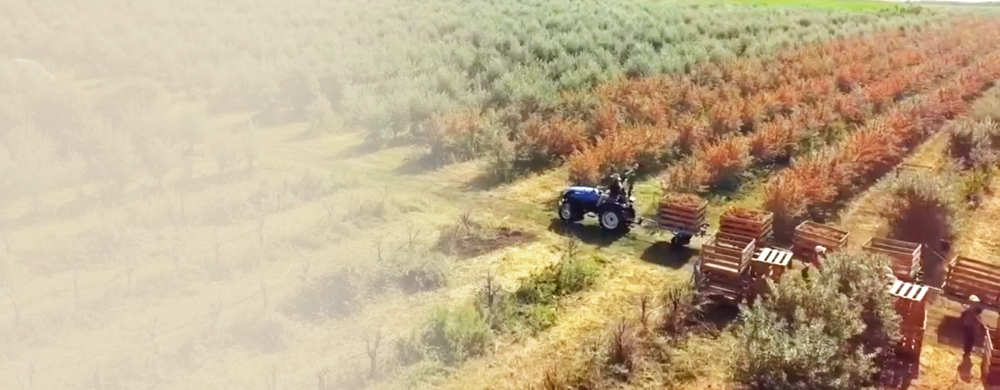 Des actifs d'exception